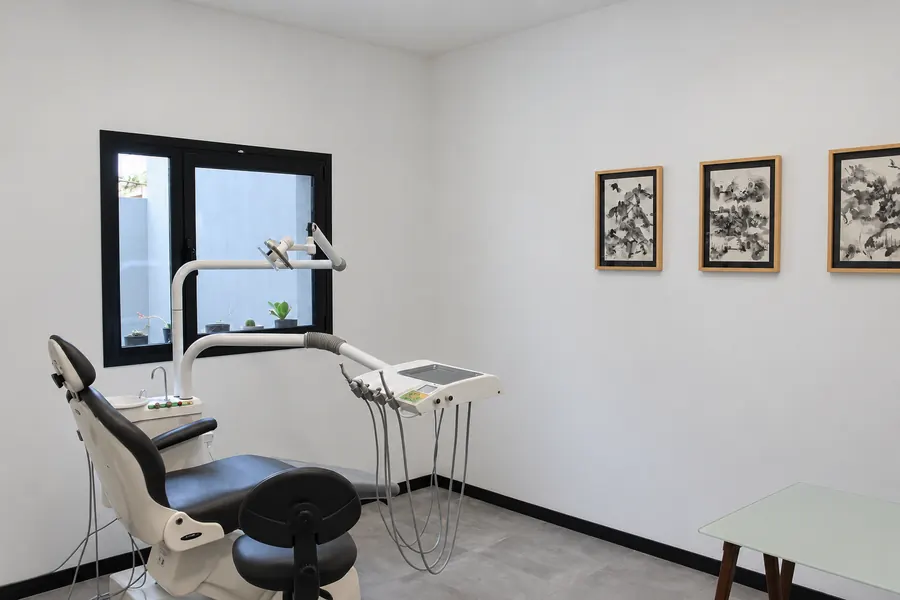 Consultorio de Villa Dolores: sillón odontológico negro y blanco junto a una ventana con plantas, y tres cuadros en la pared blanca.